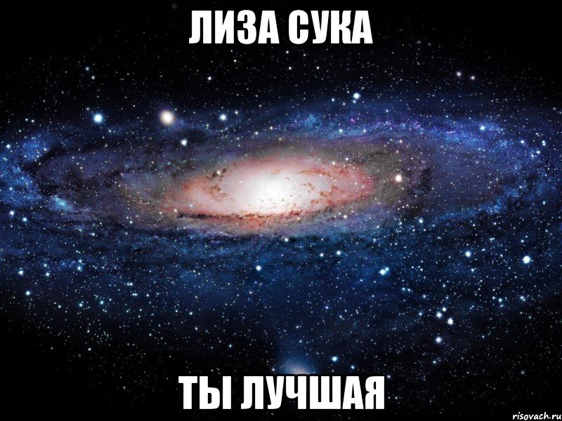 лиза сука ты лучшая, Мем Вселенная