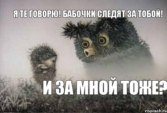 Я те говорю! бабочки следят за тобой! И за мной тоже?, Комикс Я те говорю