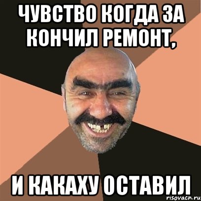 чувство когда за кончил ремонт, И какаху оставил, Мем Я твой дом труба шатал