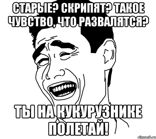 Старые? Скрипят? Такое чувство, что развалятся? Ты на кукурузнике полетай!, Мем Яо минг