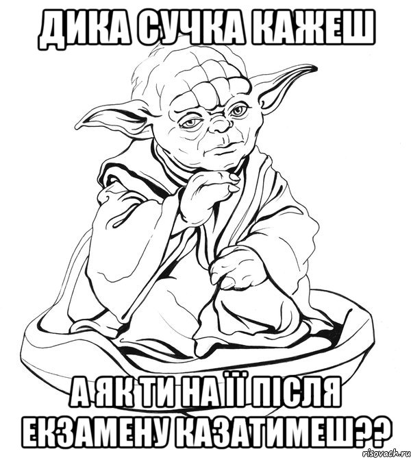 Дика сучка кажеш а як ти на її після екзамену казатимеш??, Мем Мастер Йода