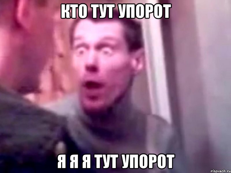 Кто тут упорот Я я я тут упорот, Мем Запили