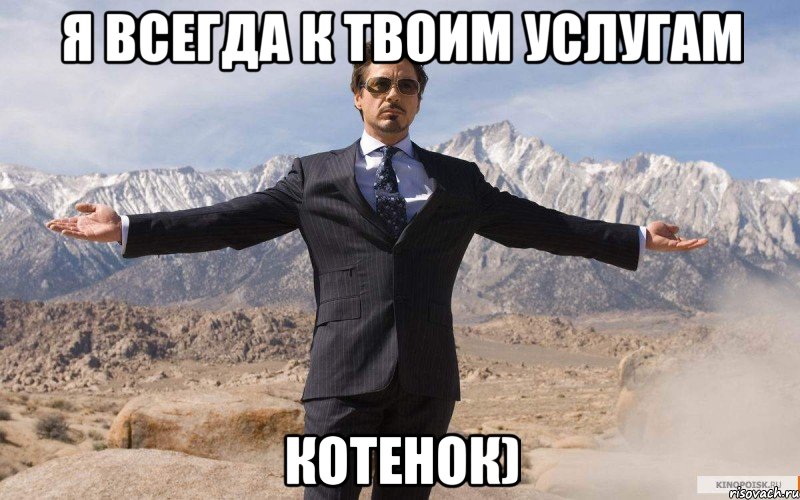 Я всегда к твоим услугам Котенок), Мем железный человек