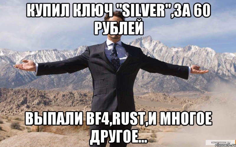 Купил ключ "Silver",за 60 рублей Выпали BF4,RUST,и многое другое..., Мем железный человек