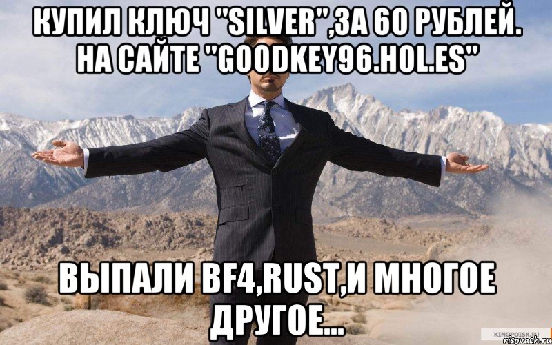 Купил ключ "Silver",за 60 рублей. На сайте "goodkey96.hol.es" Выпали BF4,RUST,и многое другое..., Мем железный человек