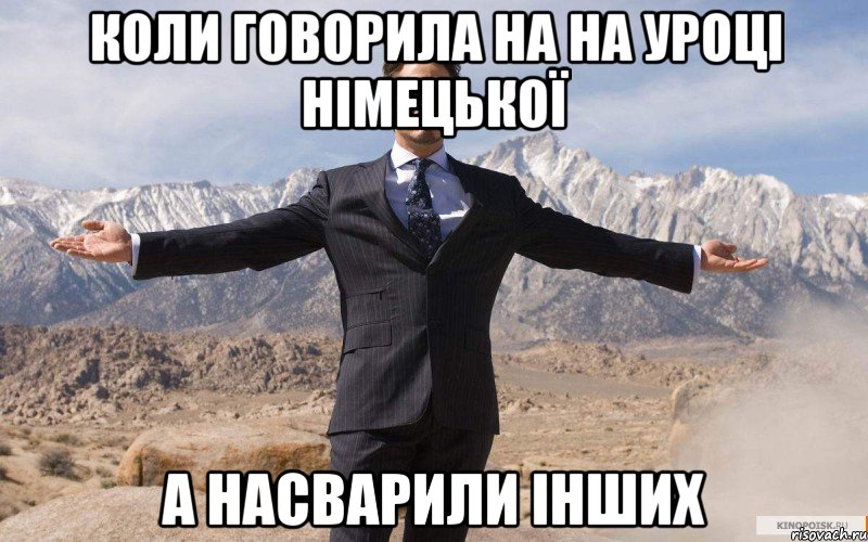 коли говорила на на уроці німецької а насварили інших, Мем железный человек