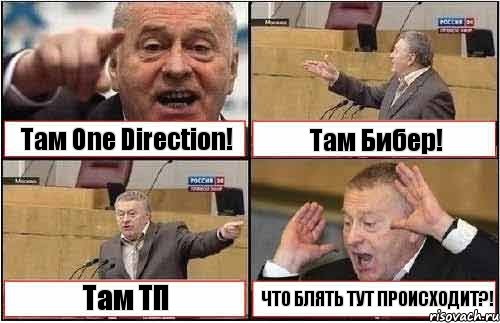 Там One Direction! Там Бибер! Там ТП ЧТО БЛЯТЬ ТУТ ПРОИСХОДИТ?!, Комикс жиреновский