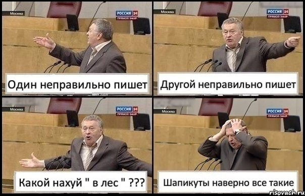 Один неправильно пишет Другой неправильно пишет Какой нахуй " в лес " ??? Шапикуты наверно все такие, Комикс Жирик в шоке хватается за голову