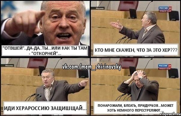 "ОТВШЕЙ"..да-да..ты...или как ты там - "откорнєй"... кто мне скажен, что за это хер??? иди херароССию защишщай... понарожали, блеать, придурков...может хоть немного перестреляют...., Комикс Жирик