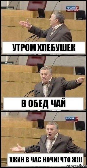 Утром хлебушек В обед чай Ужин в час ночи! Что ж!!!, Комикс Жириновский разводит руками 3