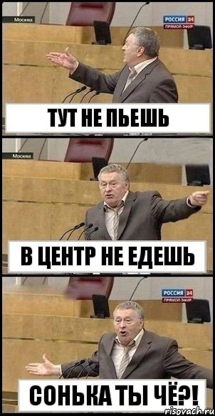 Тут не пьешь В центр не едешь Сонька ты чё?!, Комикс Жириновский разводит руками 3