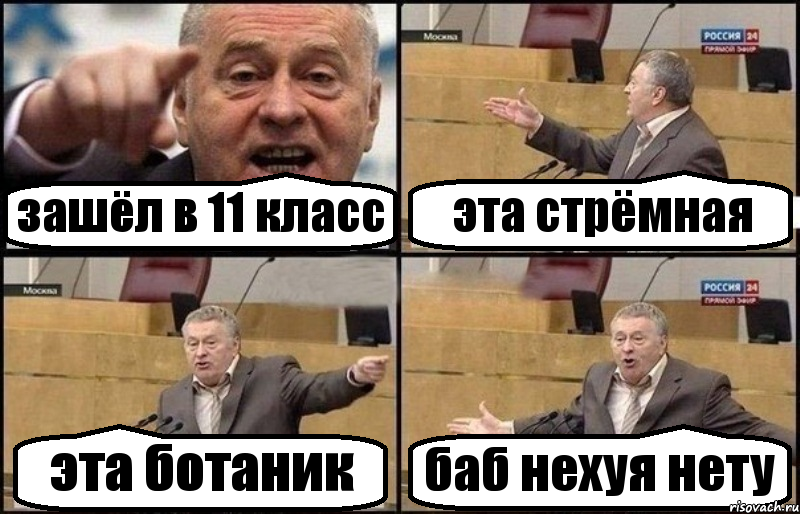 зашёл в 11 класс эта стрёмная эта ботаник баб нехуя нету, Комикс Жириновский