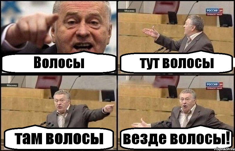 Волосы тут волосы там волосы везде волосы!, Комикс Жириновский