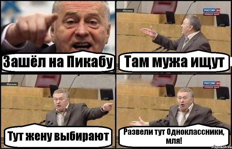 Зашёл на Пикабу Там мужа ищут Тут жену выбирают Развели тут Одноклассники, мля!, Комикс Жириновский