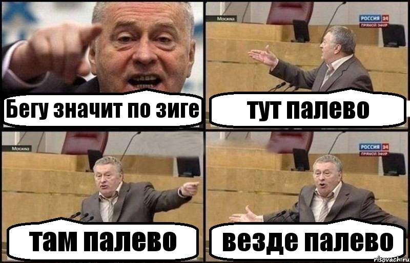 Бегу значит по зиге тут палево там палево везде палево, Комикс Жириновский