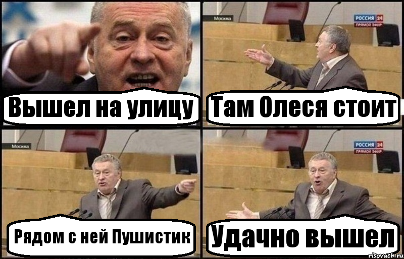 Вышел на улицу Там Олеся стоит Рядом с ней Пушистик Удачно вышел, Комикс Жириновский