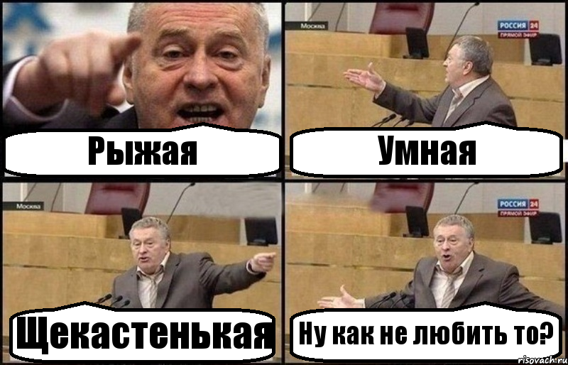 Рыжая Умная Щекастенькая Ну как не любить то?, Комикс Жириновский