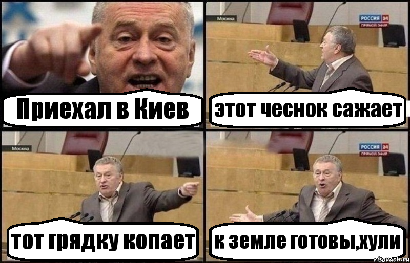 Приехал в Киев этот чеснок сажает тот грядку копает к земле готовы,хули, Комикс Жириновский