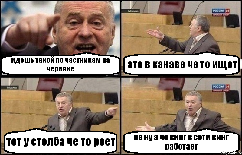 идешь такой по частникам на червяке это в канаве че то ищет тот у столба че то роет не ну а че кинг в сети кинг работает, Комикс Жириновский