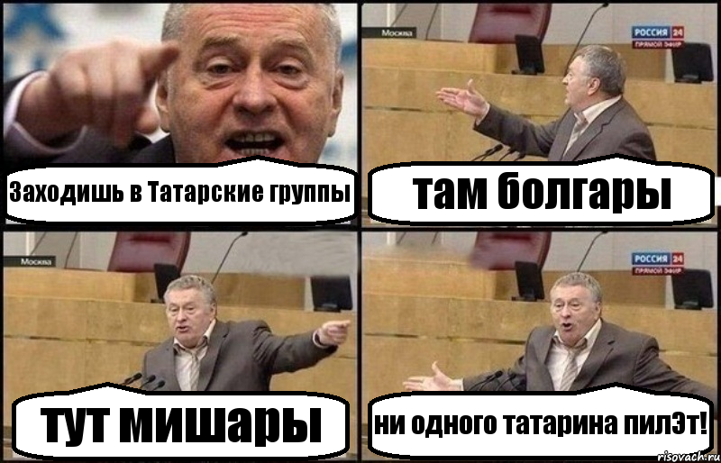 Заходишь в Татарские группы там болгары тут мишары ни одного татарина пилЭт!, Комикс Жириновский