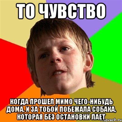 То чувство Когда прошел мимо чего-нибудь дома, и за тобой побежала собака, которая без остановки лает, Мем Злой школьник