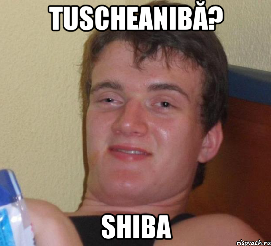 TUSCHEANIBĂ? SHIBA, Мем 10 guy (Stoner Stanley really high guy укуренный парень)