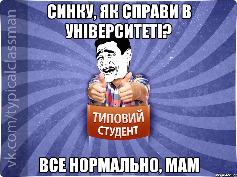 Синку, як справи в університеті? Все нормально, мам, Мем Типовий студент