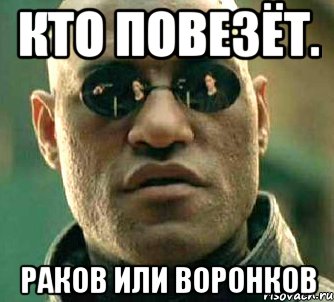 Кто повезёт. Раков или Воронков, Мем  а что если я скажу тебе