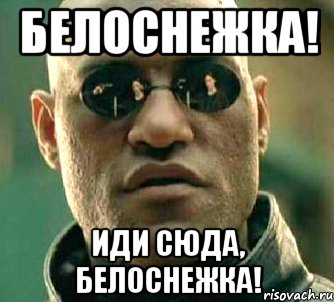 Белоснежка! Иди сюда, белоснежка!, Мем  а что если я скажу тебе