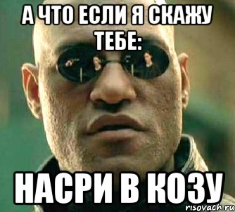 А что если я скажу тебе: насри в козу, Мем  а что если я скажу тебе