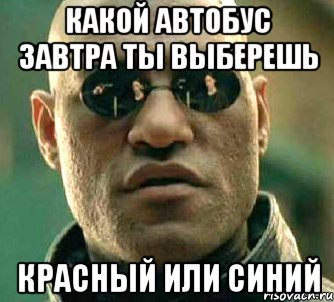 какой автобус завтра ты выберешь красный или синий, Мем  а что если я скажу тебе