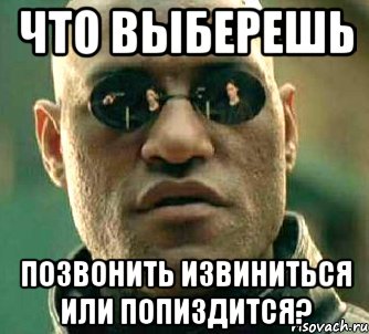 Что выберешь позвонить извиниться или попиздится?, Мем  а что если я скажу тебе