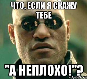 что, если я скажу тебе "А неплохо!"?, Мем  а что если я скажу тебе