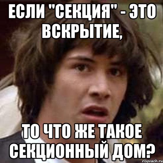 если "секция" - это вскрытие, то что же такое секционный дом?, Мем А что если (Киану Ривз)