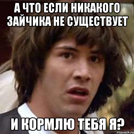 А что если никакого зайчика не существует и кормлю тебя я?, Мем А что если (Киану Ривз)