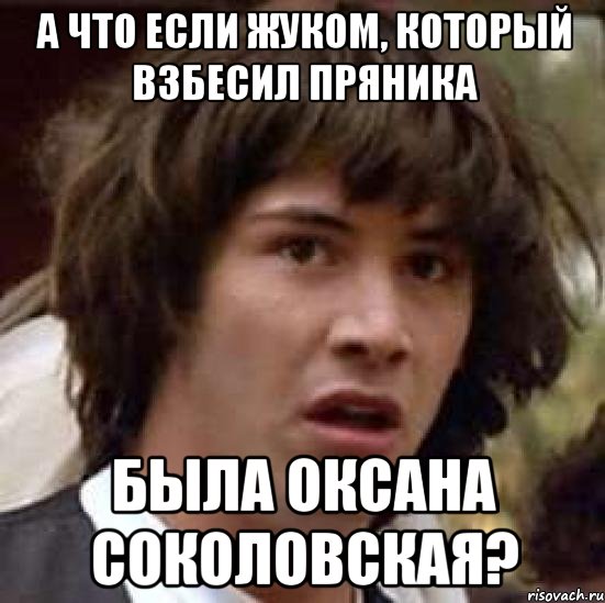 А что если жуком, который взбесил Пряника была Оксана Соколовская?, Мем А что если (Киану Ривз)