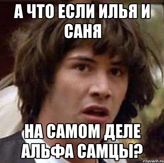 А что если Илья и Саня На самом деле альфа самцы?, Мем А что если (Киану Ривз)