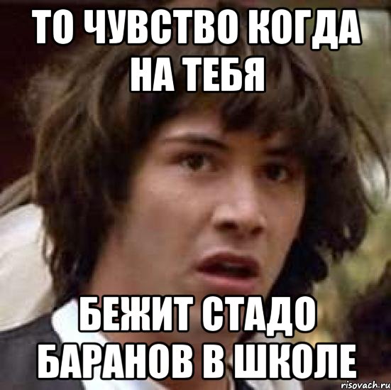 То чувство когда на тебя бежит стадо баранов в школе, Мем А что если (Киану Ривз)