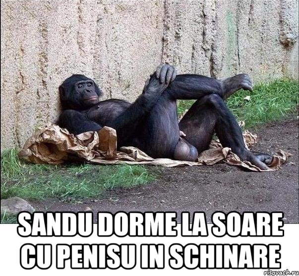  sandu dorme la soare cu penisu in schinare, Мем а танцую я не очень