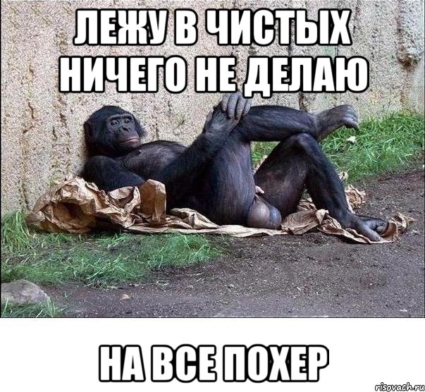 ЛЕЖУ В ЧИСТЫХ НИЧЕГО НЕ ДЕЛАЮ НА ВСЕ ПОХЕР