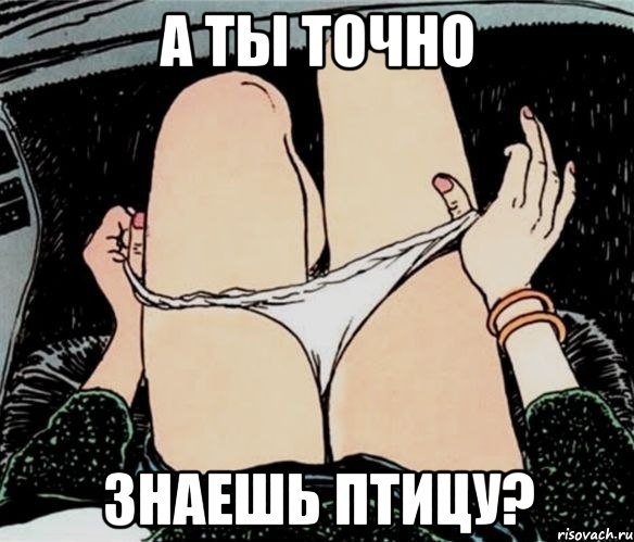 А ты точно Знаешь птицу?, Мем А ты точно