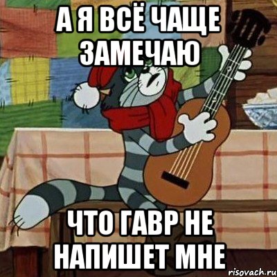 А я всё чаще замечаю Что гавр не напишет мне, Мем Кот Матроскин с гитарой