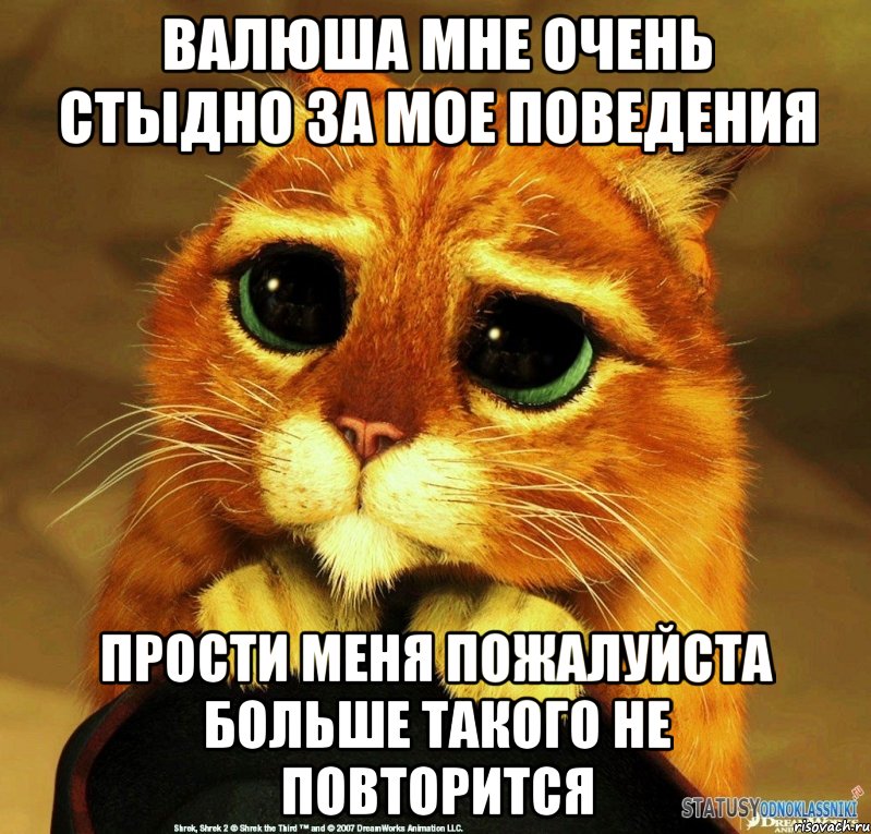 Валюша мне очень стыдно за мое поведения прости меня пожалуйста больше такого не повторится, Мем Котик из Шрека