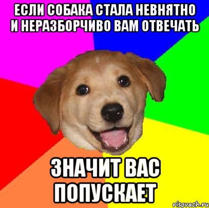 если собака стала невнятно и неразборчиво вам отвечать значит вас попускает, Мем Advice Dog