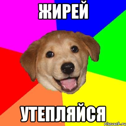 ЖИРЕЙ УТЕПЛЯЙСЯ, Мем Advice Dog