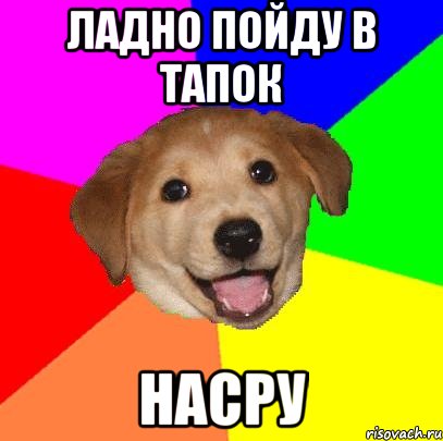 ладно пойду в тапок насру, Мем Advice Dog