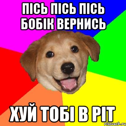 Пісь пісь пісь Бобік вернись хуй тобі в ріт, Мем Advice Dog