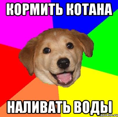 кормить котана наливать воды, Мем Advice Dog