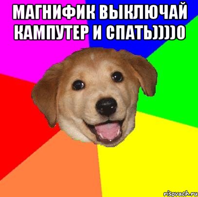 Магнифик выключай кампутер и спать))))0 , Мем Advice Dog