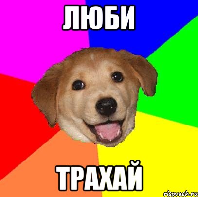 люби трахай, Мем Advice Dog